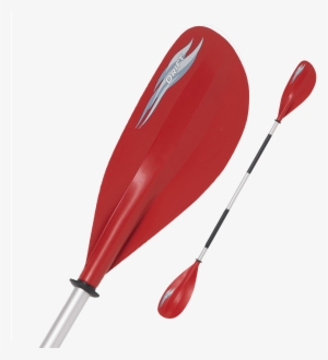 Vast Experience - Paddle