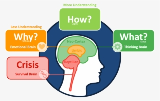 Fitnessplatter - Triune Brain Reptilian Brain