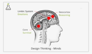 Concepts Of Being Right Brain Creative Or Left Brain - Triune Brain Theory Transparent Png