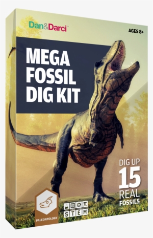 Dd Fossil Dig Kit Hr