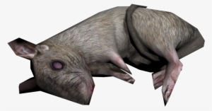 Download Zip Archive - Boar