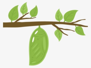 The Very Hungry Caterpillar Monarch Butterfly Clip - Cocoon Clipart