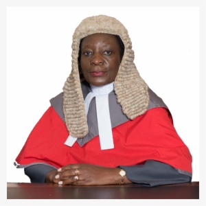 Judge Of The Supreme Court - Senior Citizen