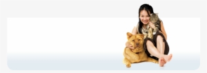 Animal Shelter Heroes: How To Be A Hero With The Shelter