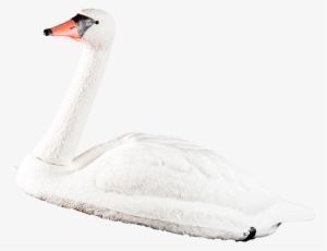 Hay Bale Blind - Swan
