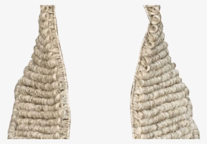 Free Transparent Wig - Judge Wig