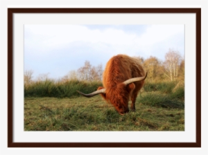 Yak Framed Art - Surya-he131a001-4030-eternal - 40 X 30 Yak Wall Art