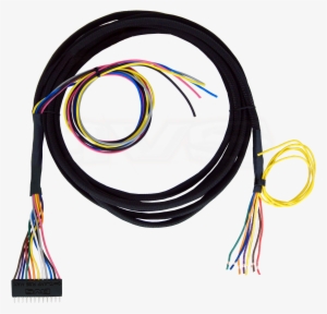 Avs Valve Wiring Harness 10', 15', 20' - Avs Valve Wiring Harness 15- Accuair Vu4