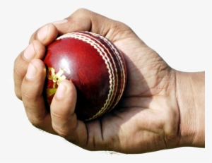 Cricket Australia Is Building A Powerful Digital Media - Single Handed Cricket Catch