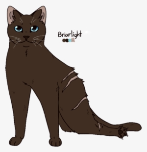 [briarlight]a Qt She Got The Anime Eye Gene From Her - Anime