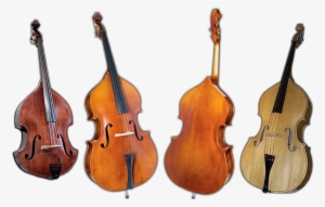 Featuring Upright Basses From David Gage, Wilfer, Juzek, - Double Bass