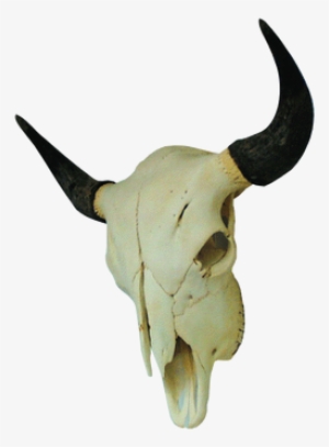 Image - Buffalo
