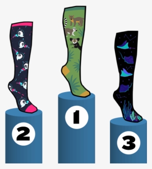 2018 Design A Sock Contest - Design