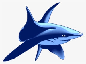 Shark Png Fl279 - Mako Shark Logos