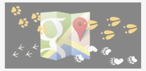 Address Down - Google Maps