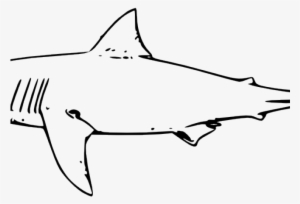 Hammerhead Shark Clipart Transparent Background - Great White Shark Clip Art