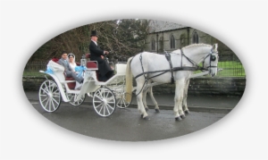 Kilvey Carriage House - White Horses And Carriage Png