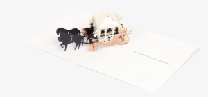 Horse Drawn Carriage - Horse