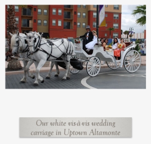 Prev Next - Horse And Buggy