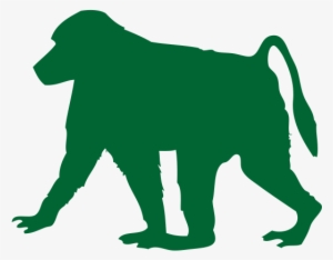 Baboon Transparent Image - Homalocephale