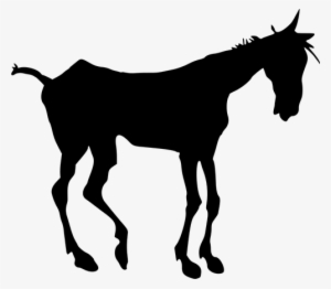 Old Nag Silhouette Public Domain Vectors - Silueta Vector Cabeza Burro