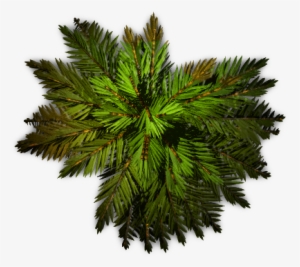 Dundjinni Mapping Software - Aprilia Rx/sx 50