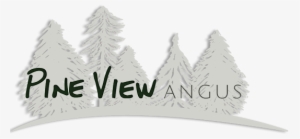 Contact Pine View Angus - Angus Cattle