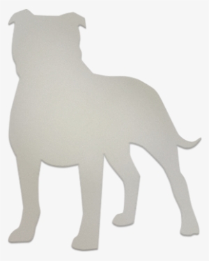 Staffordshire Bull Terrier