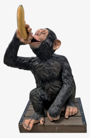 Safari Monkey - Safari