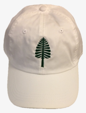 Lone Pine Hat - Patagonia Women's Micro D 1/4 Zip