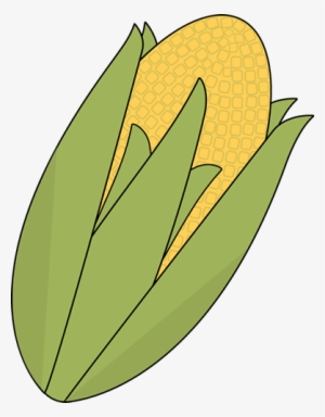 Ear Of Corn Clip Art Ear Of Corn Image - Corn Clipart