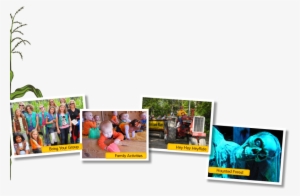 Stalk-photos - Graphic Design