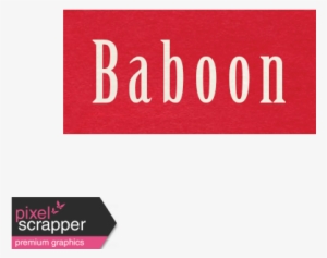 At The Zoo - Rooster Word