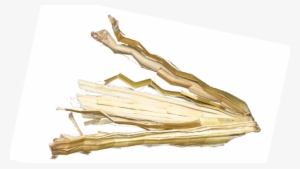 Corn Heads Are Processing Their Stalks, But In Fact - Portable Network Graphics