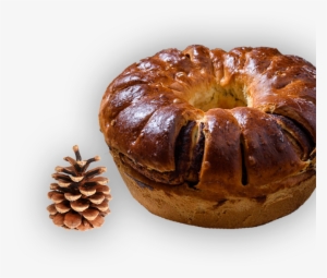 Tipo Servico - Conifer Cone