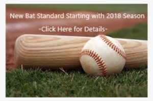 Bat Standards For