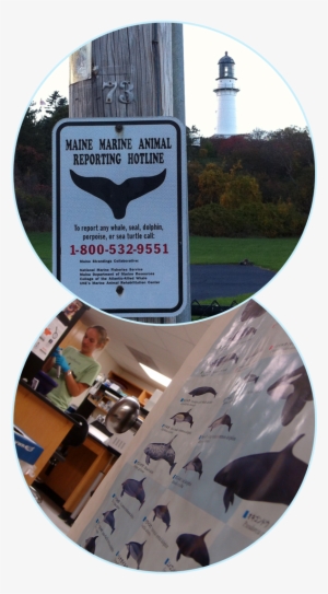 Research - Poster