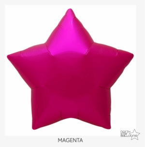 00373 Silver Star 22in Web Mark