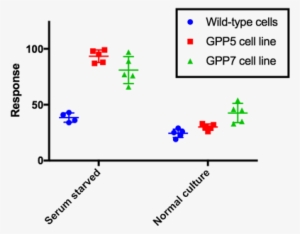 The Main Part Of The Graph To Bring Up Format Graph - Graph Pad