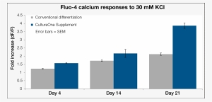 Cultureone Supplement For Neuronal Cell Culture - Fluo-4