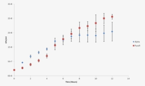 Growth Of Pyear Transformed E - Diagram