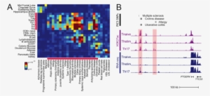 A) Heatmap Displays The Correlation Between Fine-mapped - Snp Associated Diseases