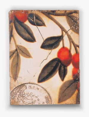 Seduction Of Colour Collection