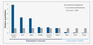 Mrna Expression At 2 Weeks By Qpcr - 2016 中国 牛肉 消费 量