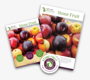 Cultivate Michigan Materials Promo - Michigan