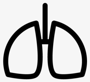 Human Lungs Outline Vector - Contorno De Pulmones