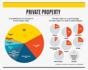 Amazon's Critics Say The Company's Ability To Use Data - Diagram