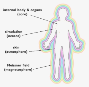 Magnetosphere - Advantage And T Cell Therapy