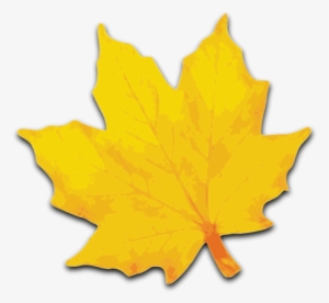 Small - Yellow Maple Leaf Clipart