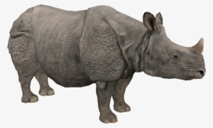 Ny2pepe - Rhino Body